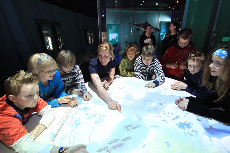 6: Meereskundemuseum (06) Die Ostsee ist einer der Schwerpunkte des OZEANEUMs.